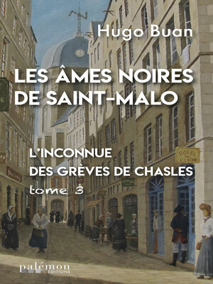 cover image of L'inconnue des Grèves de Chasles